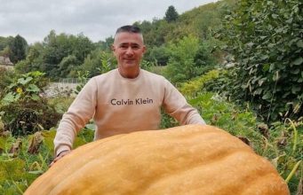 Josip Subašić iz Busovače uzgojio bundevu od 310 kilograma — novi rekord BiH Josip Subašić iz Busovače uzgojio bundevu od 310 kilograma — novi rekord BiH