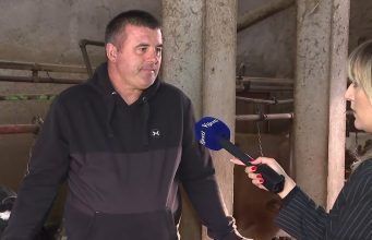Goran Mugoša poklanja svoje mlijeko svima koji žele — kod njega na farmi