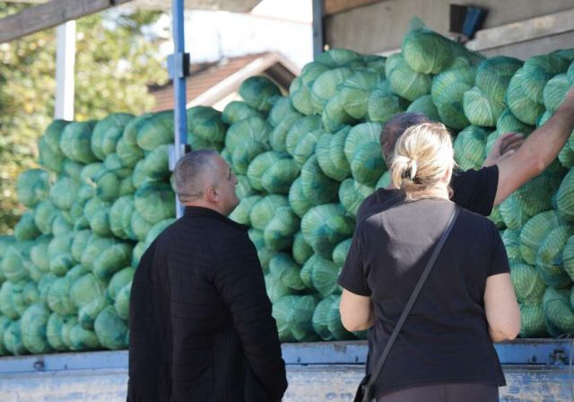Sezona sve gora: Ako ovih dana kiselite kupus, evo koliko ćete platiti kilogram