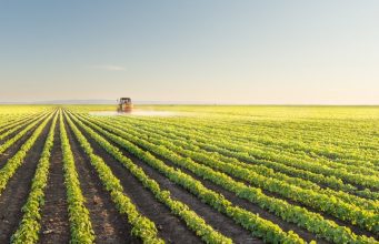 Mikrobiološka đubriva — spas za zemljište Mikrobiološka đubriva — spas za zemljište