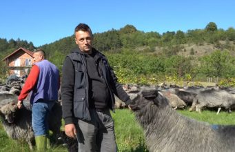 Napustio Švajcarsku nakon 40 dana i vratio se svojim ovcama u BiH — priča mladog pastira